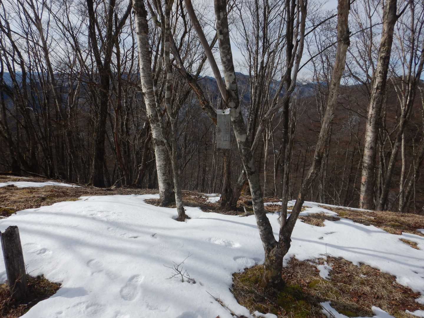 坊主山山頂。しっかり雪。