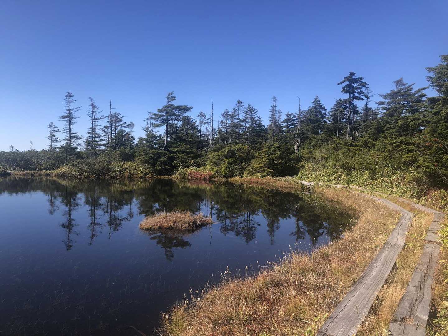 奥志賀高原ホテルバス停-焼額山 往復コースの写真