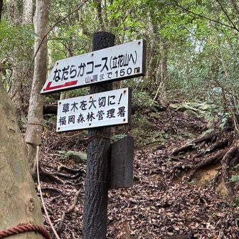 なだらかコースに行きましょう