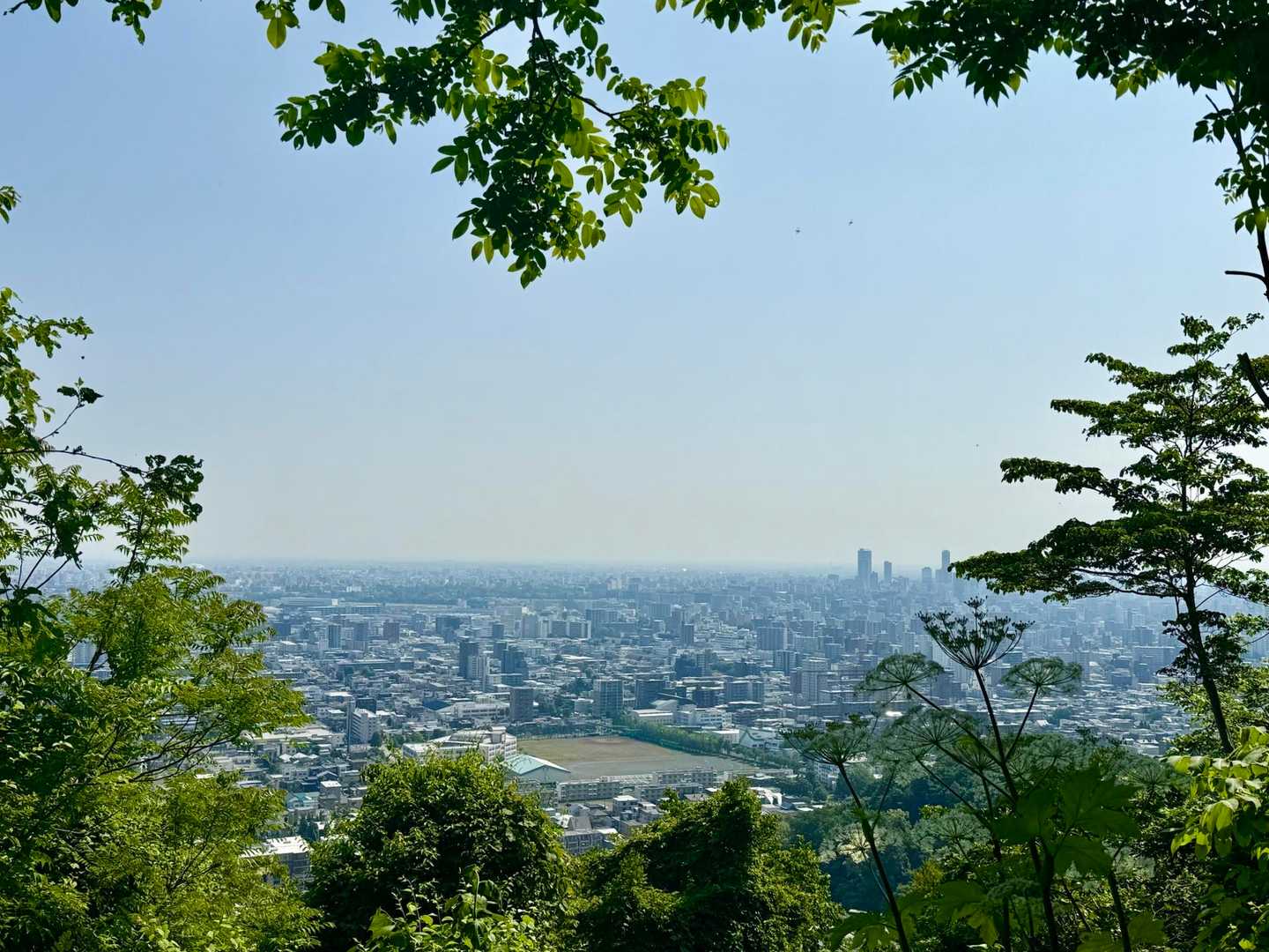 霞んでる💧