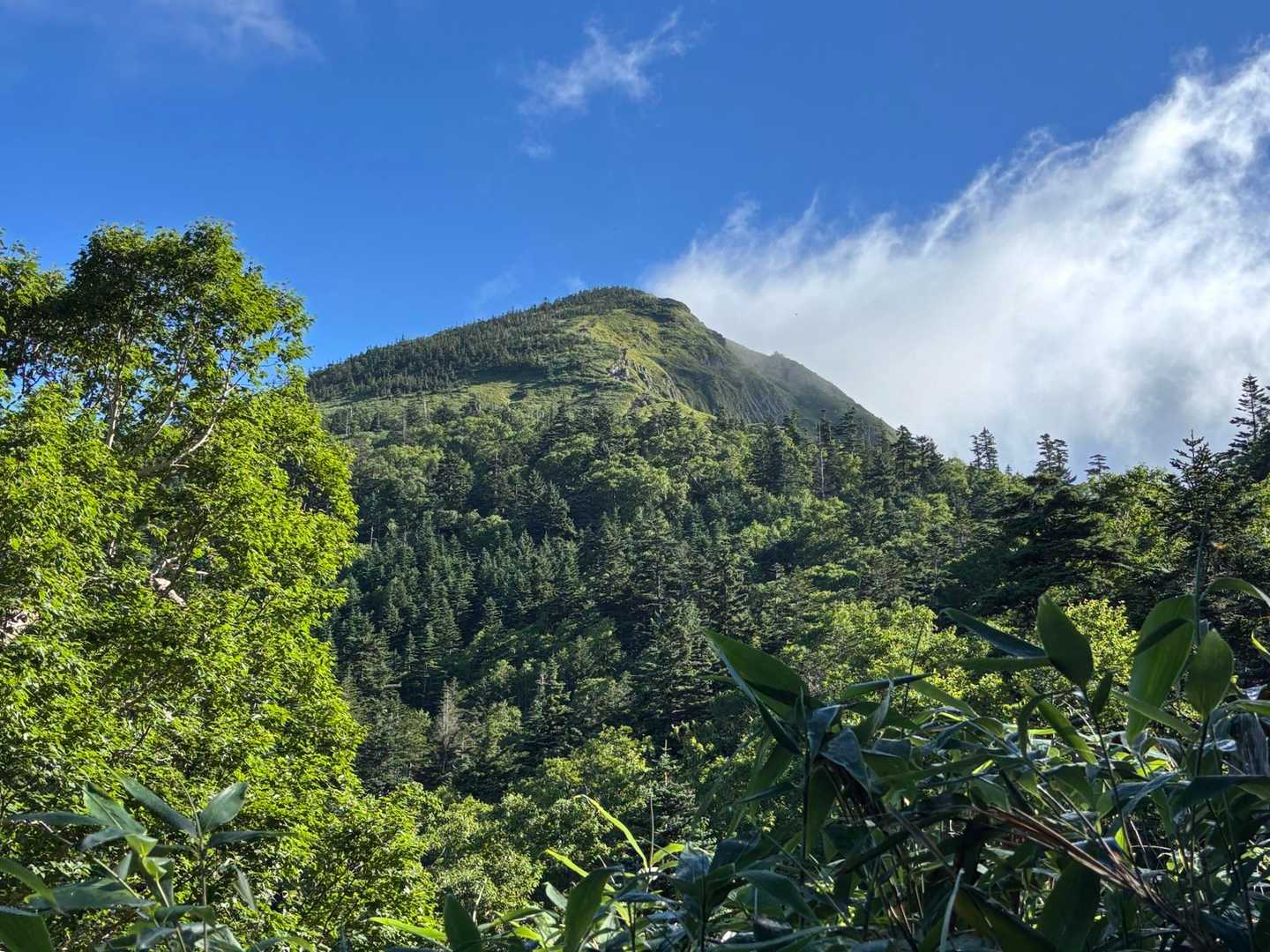 何ヶ所か開けたところがあり
岩菅山の勇姿が望めます