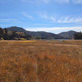 秋の風景…なんか落ち着く…♪