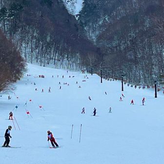 白息のターンに大会近づけり
（しらいきの たーんにたいかい ちかづけり） ⛷️娘婿