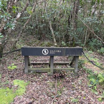 なんで山頂部は自然保護の為立ち入り禁止😭ヤマレコでは展望台が湯湾岳の認定ポイントになっています。がYAMAPは相変わらず山頂が認定地点のようです。