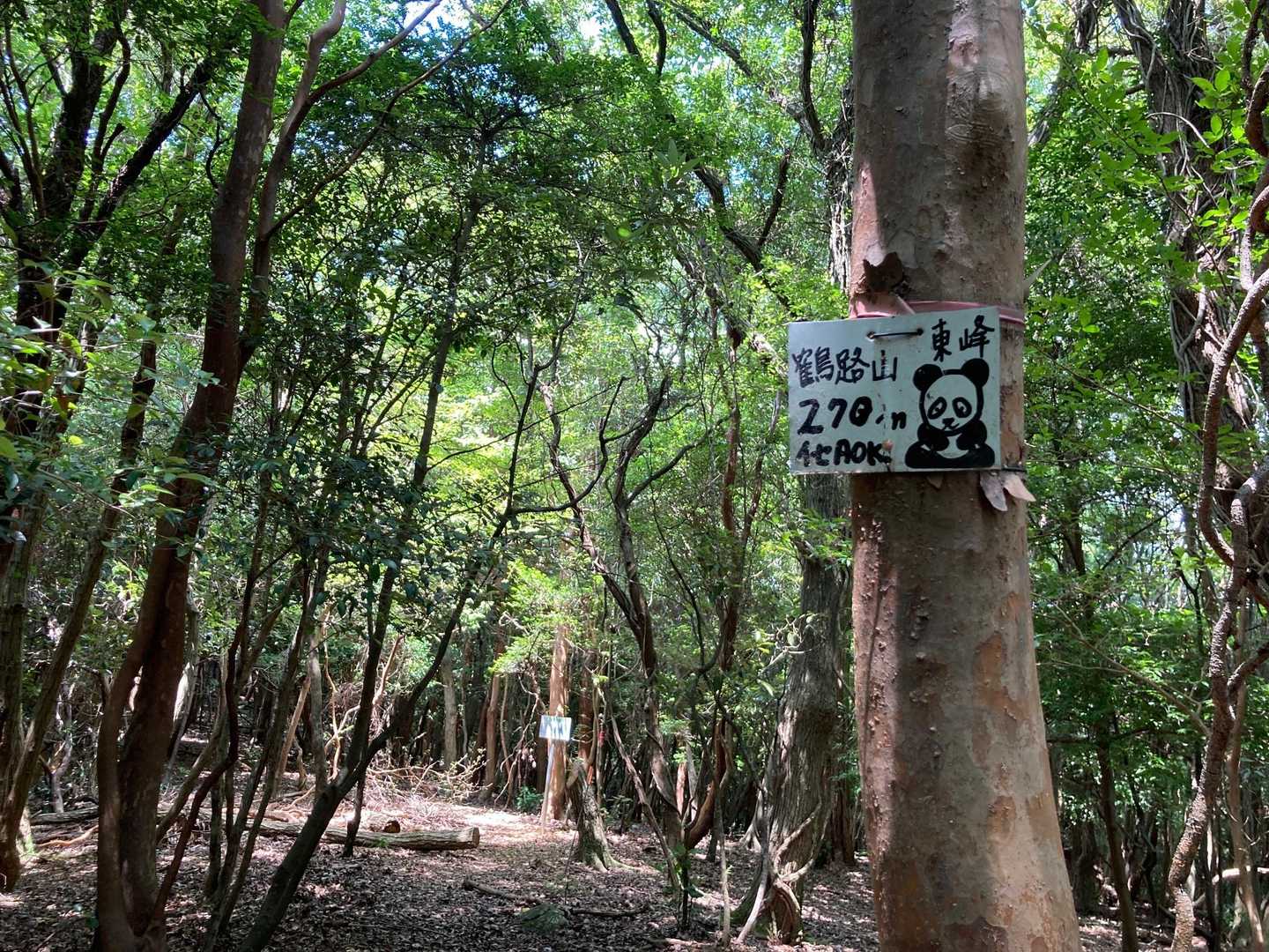 鶴路山東峰の看板あり。急登はここまでで、これから山頂まではなだらかな尾根道です