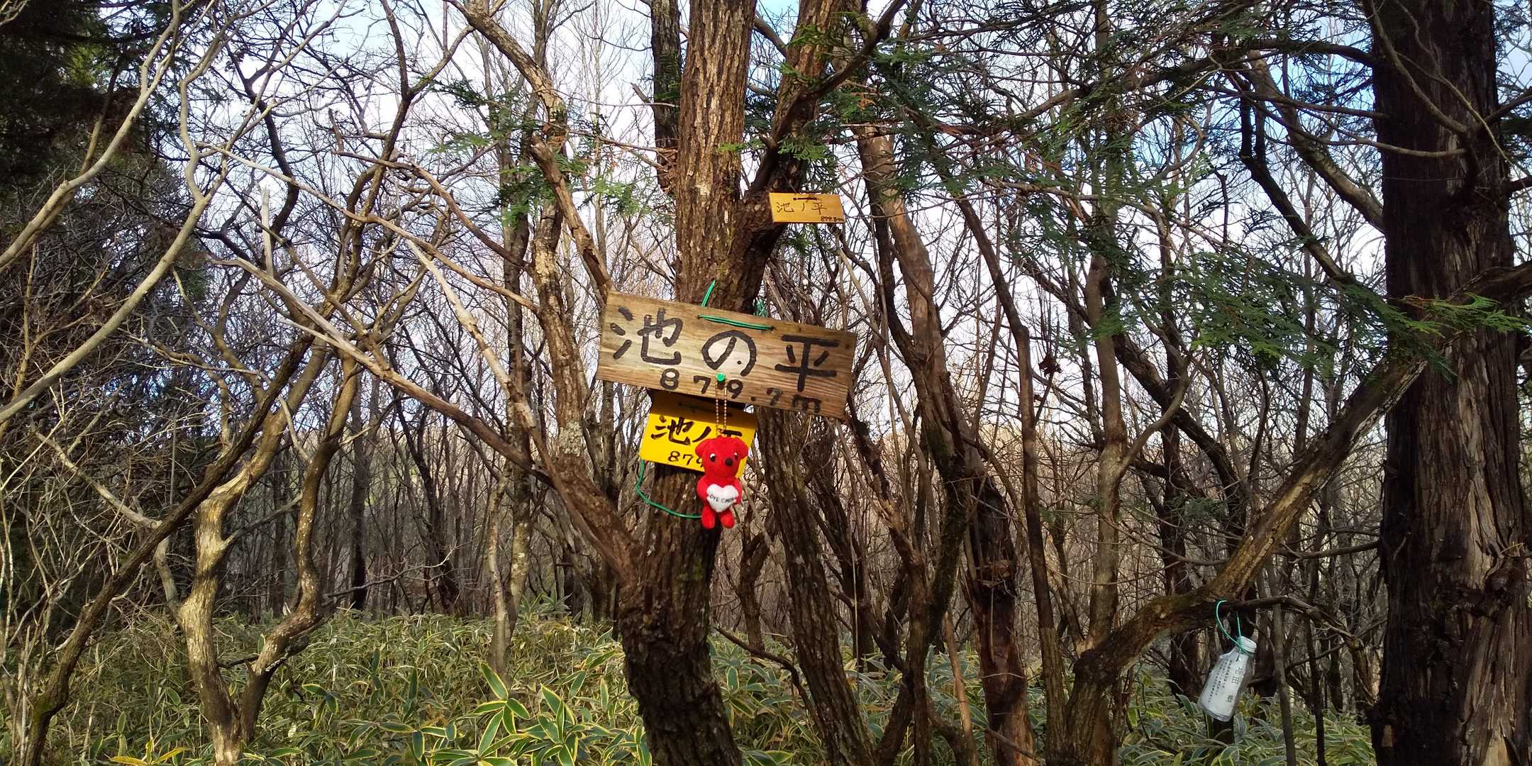 池の平山頂