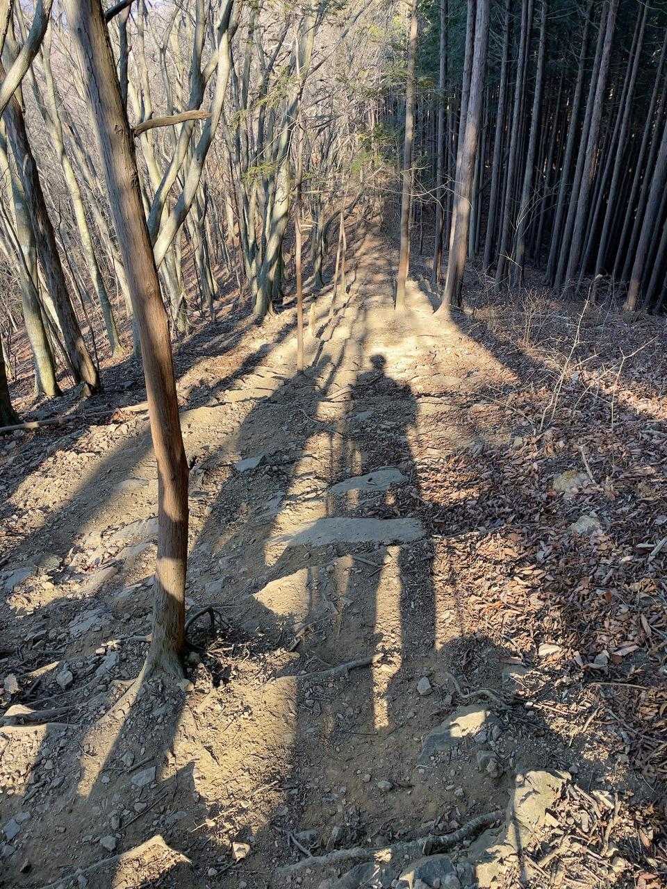 スタートは下りから始まった。
