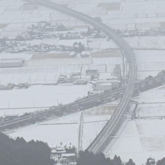 田んぼ、いい味だしてます。