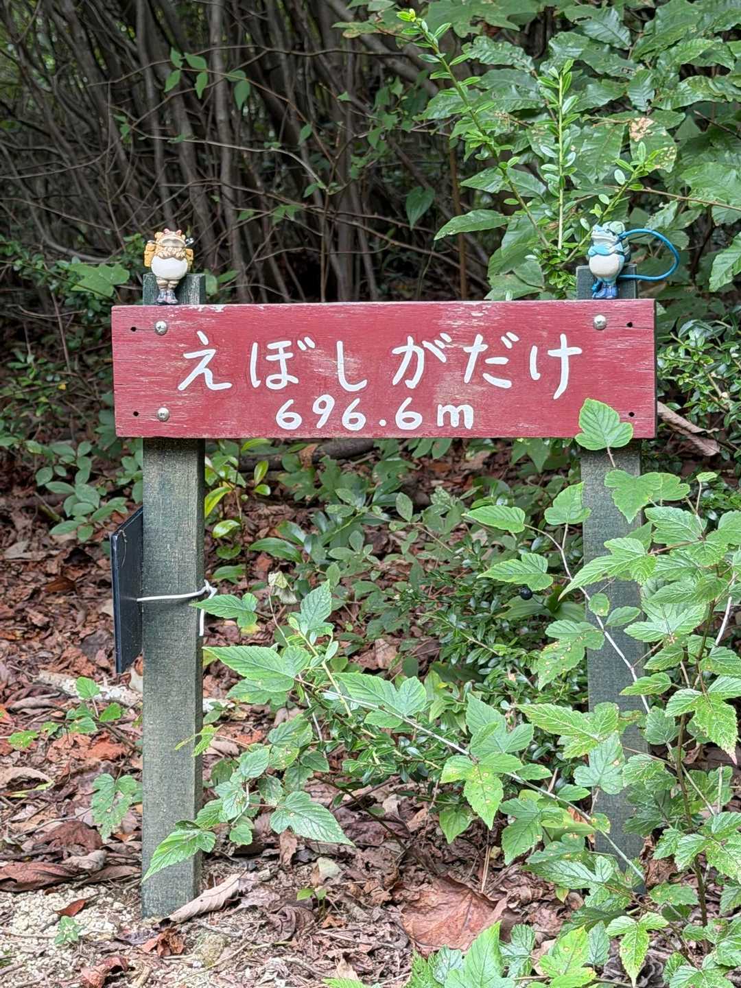 そして烏帽子岳到着✌️
眺望はなしです！
暗くなるから急いで下ります💦