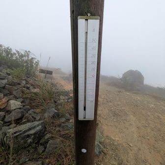 14℃
