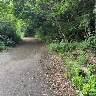 林道に出た。