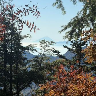 合戦尾根の途中
富士山が見えました
