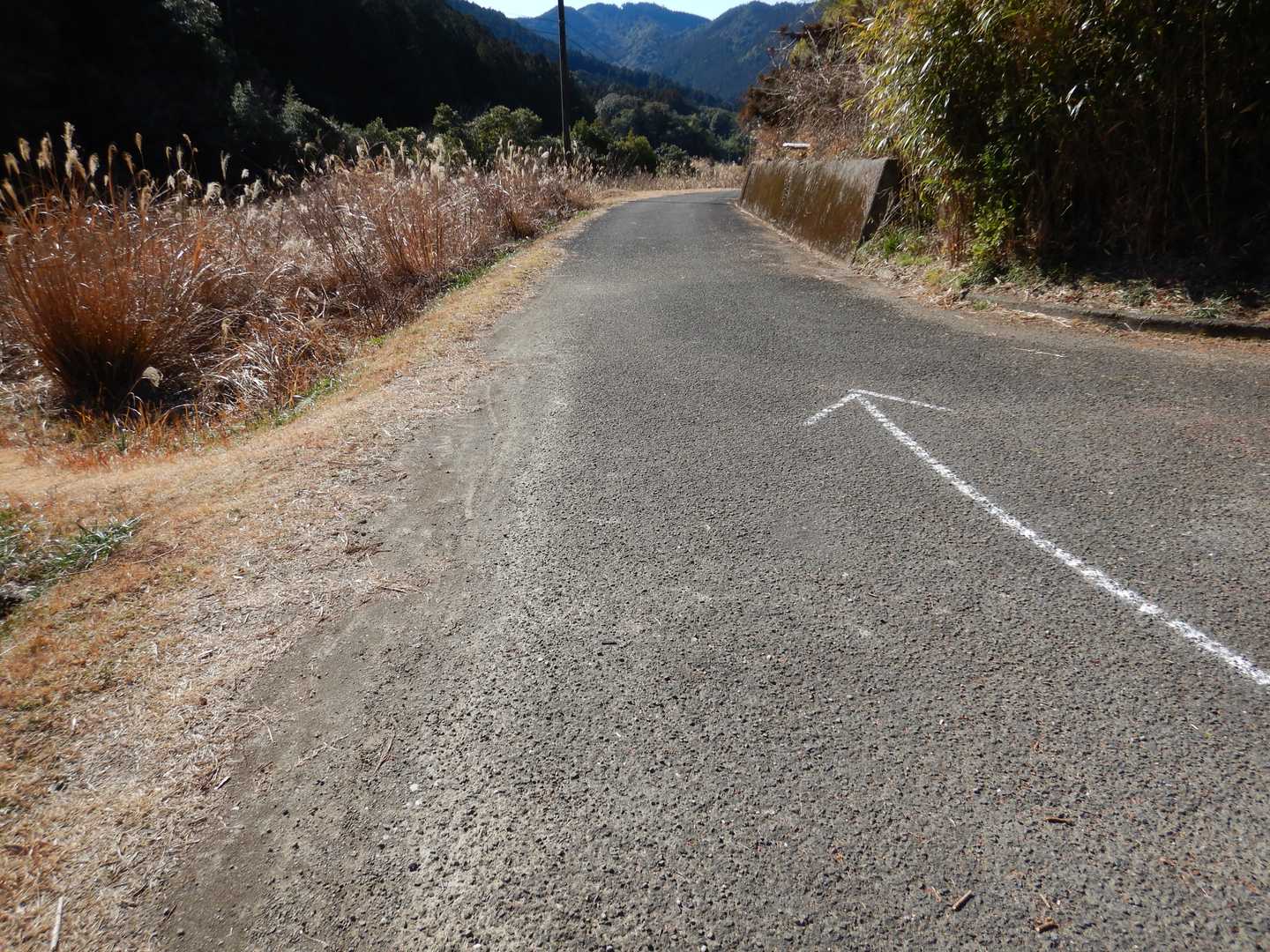 舗装路に出た