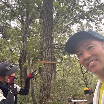 看板がなーい😭
紫山⛰️
けどこちらはルート外れてるピークだった
無駄に足を伸ばしてしまった笑