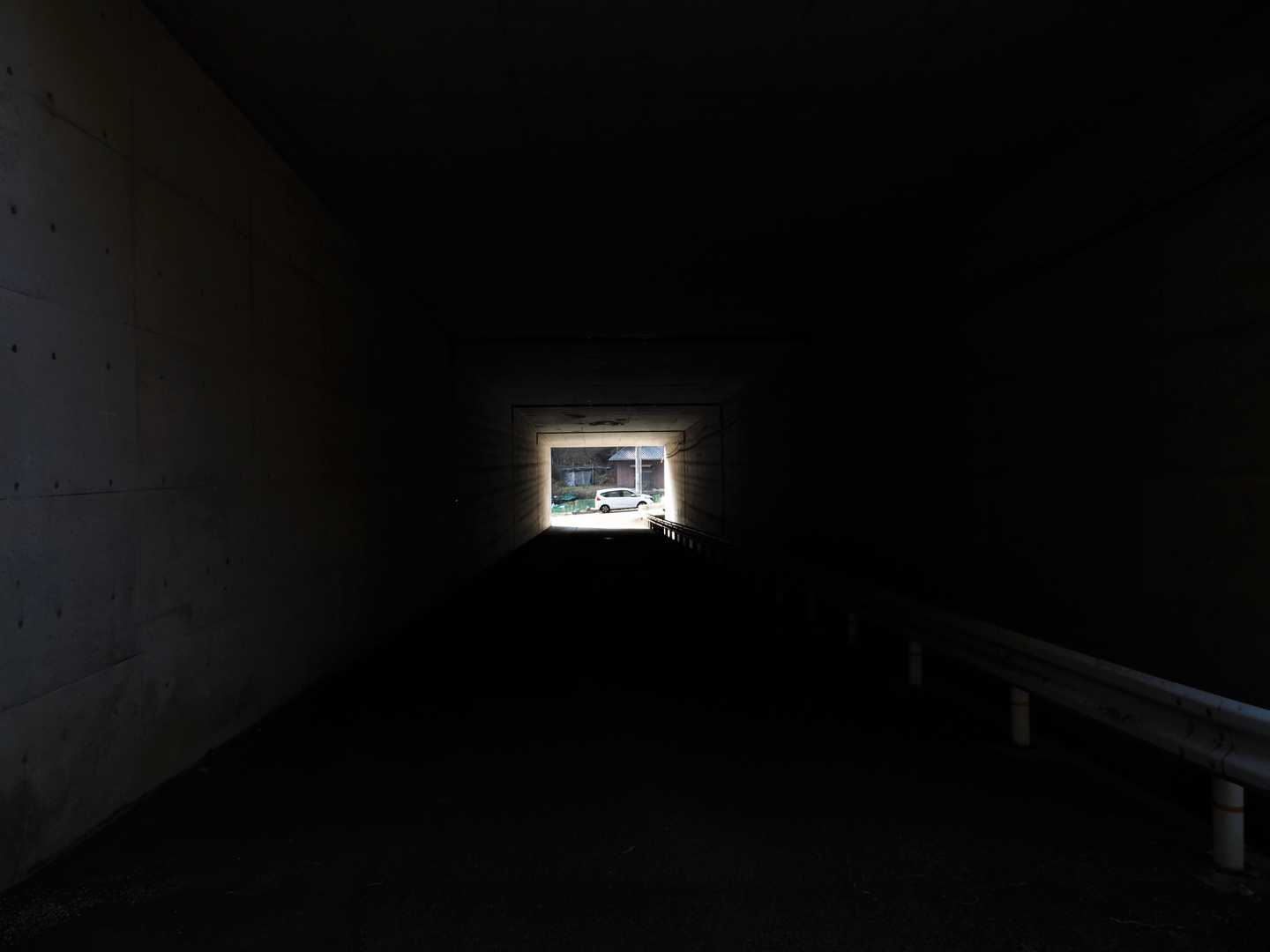 とおの山 往復コースの写真