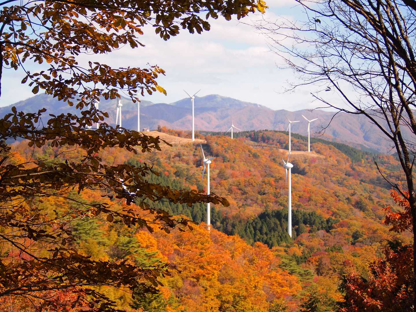 山頂より
風力発電所を望む