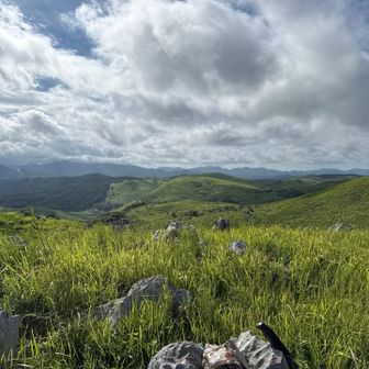 やっぱり秋吉台は山なんだなぁ。
かなり遠く迄見渡せる。