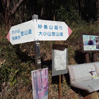 大小山駐車場から妙義山廻り大小山の方へ歩きます
