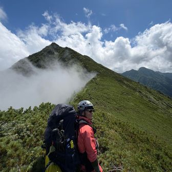 全然進まないわ。