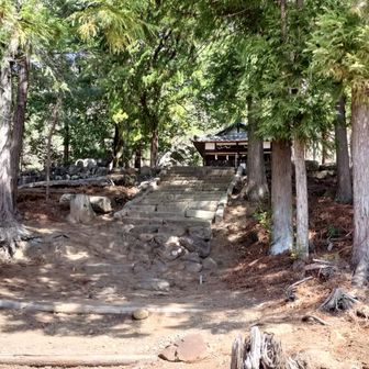 なかなか厳かな雰囲気でした