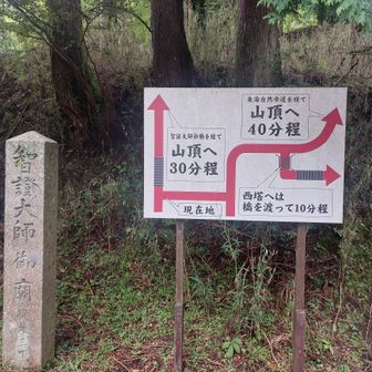 山に帰ります😅