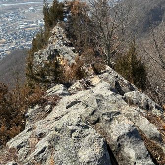 南側に岩場が続いているけど行ったことある人いるのかな？😅