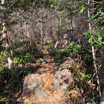 景色はありませんが、ここで休憩。