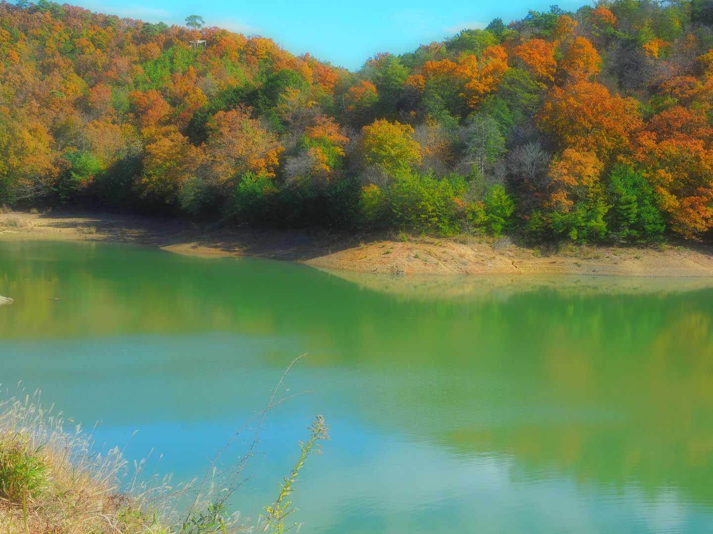 西山 往復コースの写真