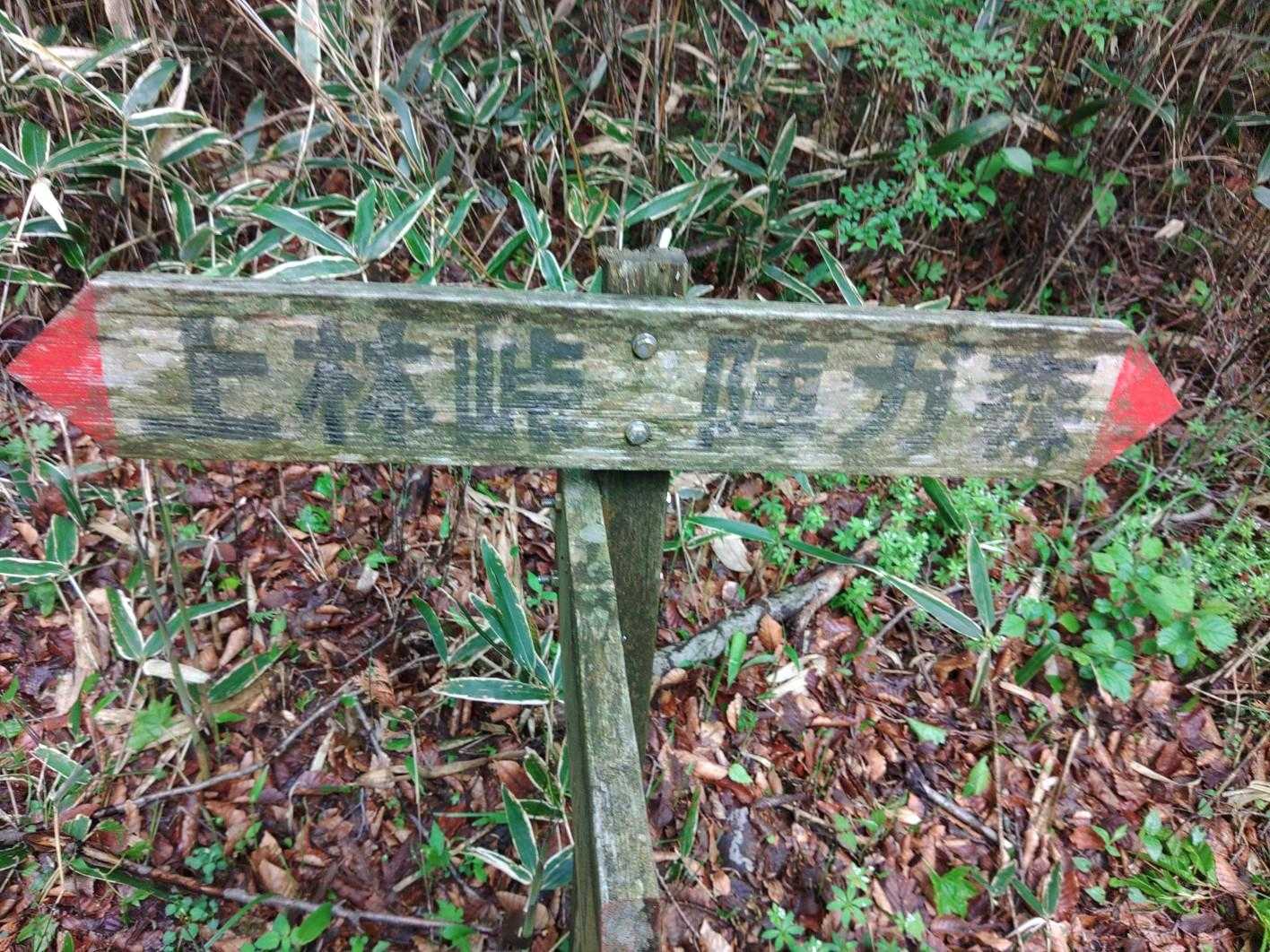 上林峠-陣ヶ森-前々司山-うなめご 往復コースの写真