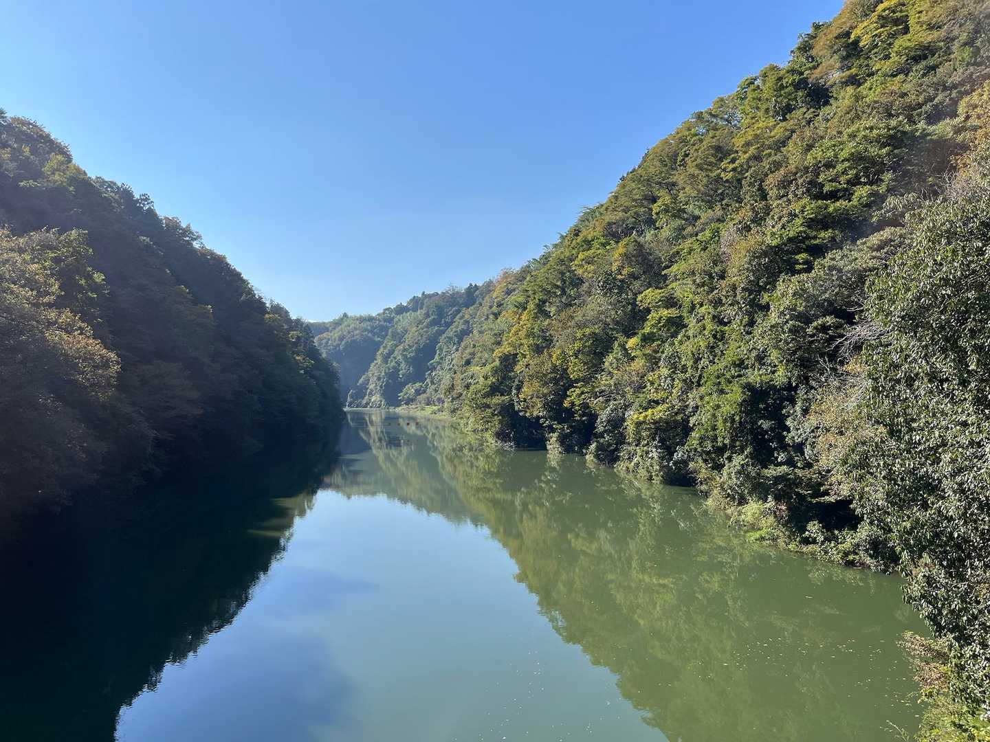 色づくのはいつだろう