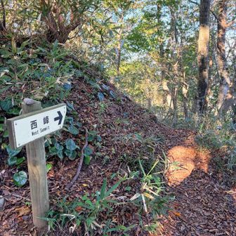 西峰へ