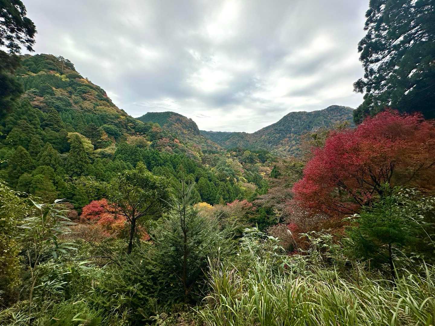 玉屋神社登山口-英彦山 周回コースの写真