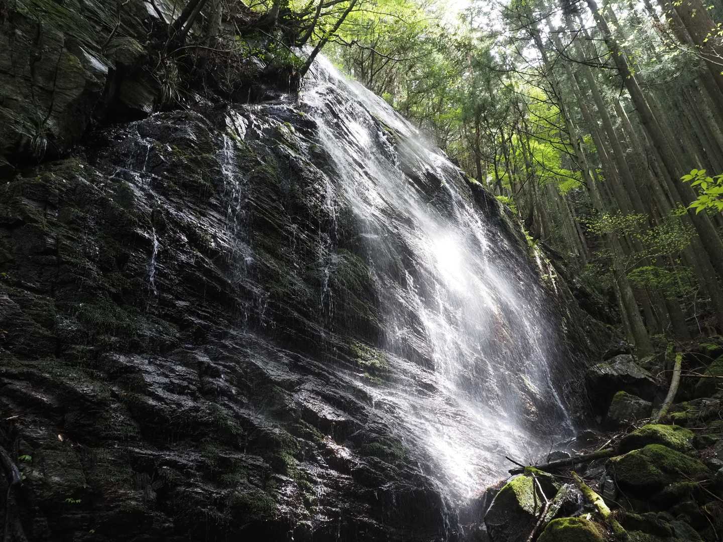 前日の雨で滝状態の岩壁