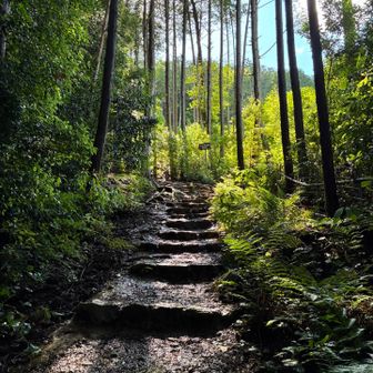 裏登山口から