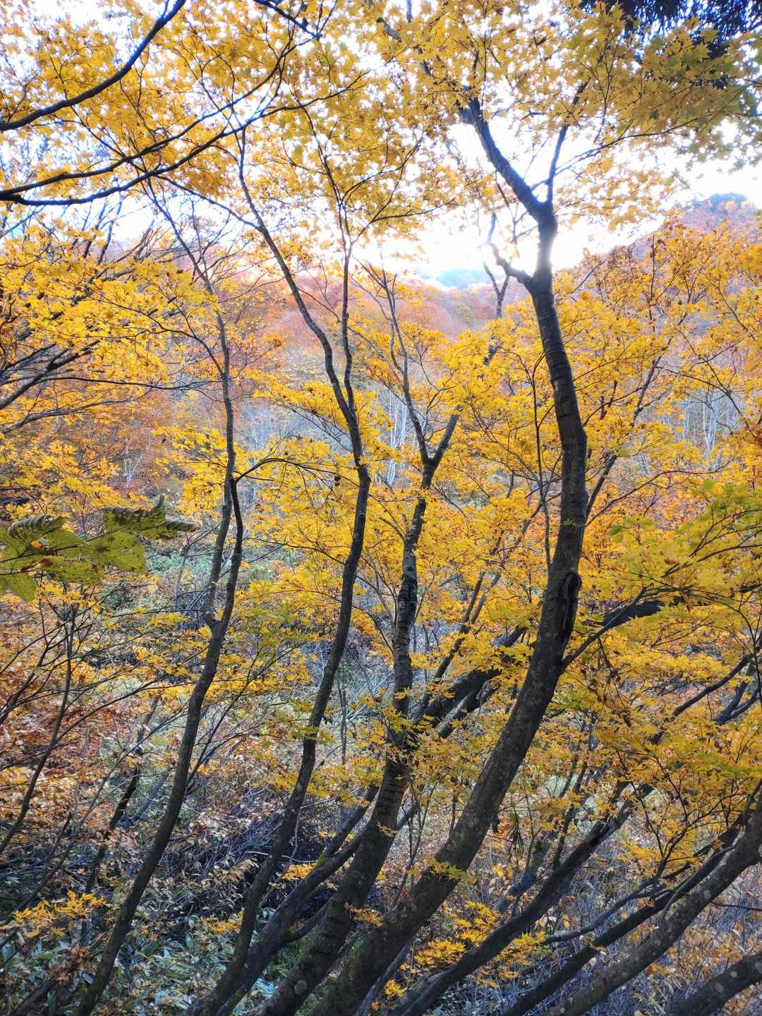 古峰山 周回コースの写真