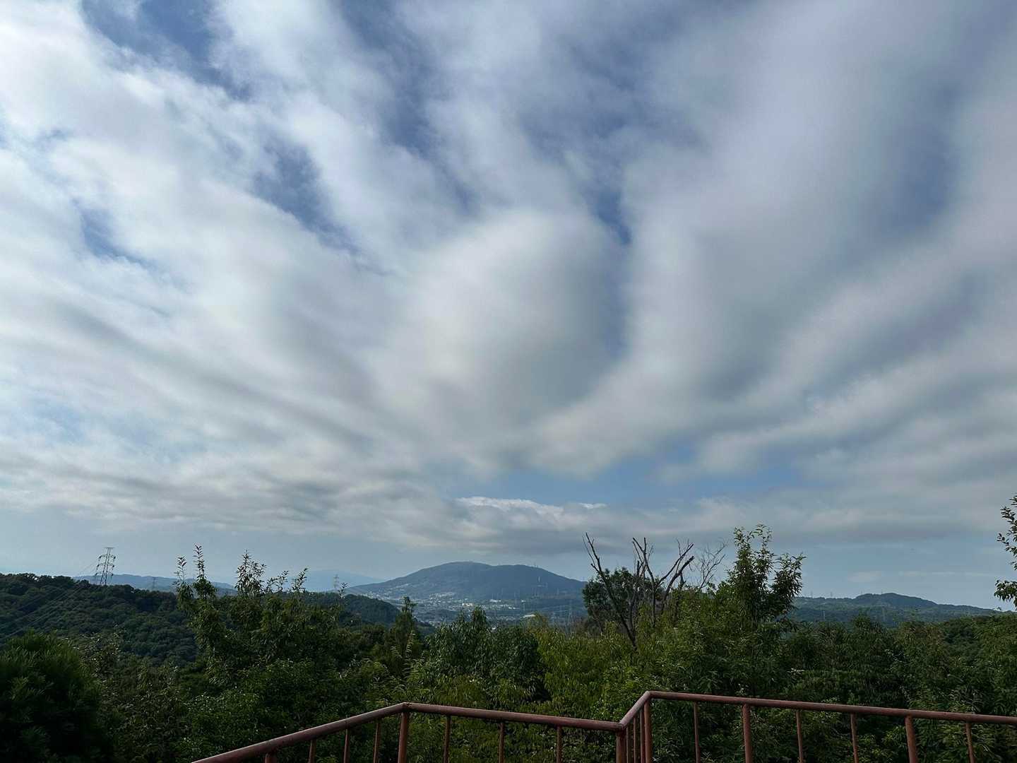 良い景色です🤩✨

目の前のお山は生駒山かな⛰️