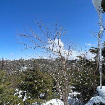 つららすんごい🥶