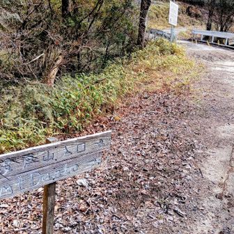 おかわり山は鷹ノ巣山💪