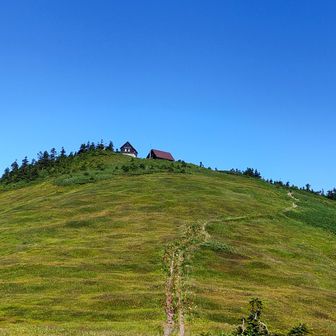 パパカンボジア