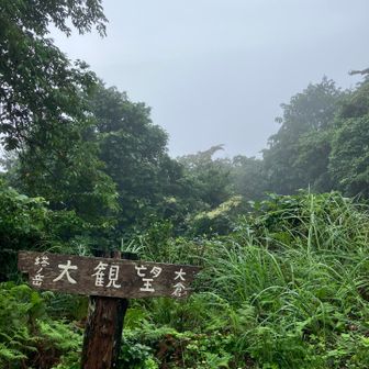 下界を見渡す絶景の展望は🎵ない！ない！無い無い無い無い！