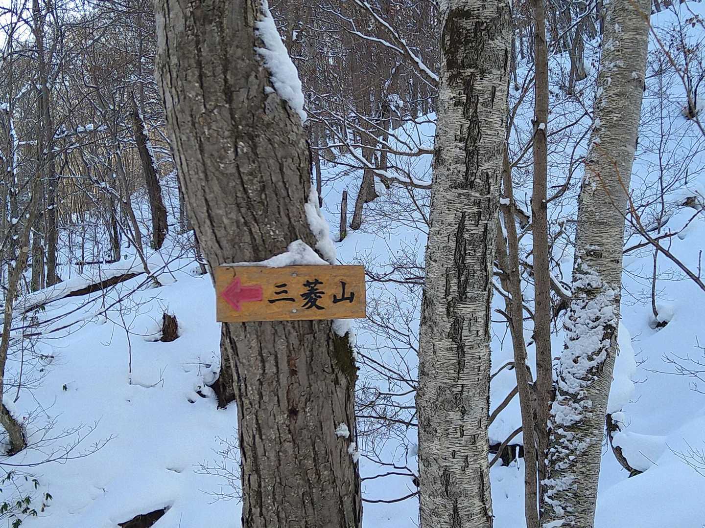 分岐に標識有り難い