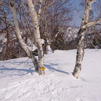 軽食休憩をとったところで、お次は迷沢山へ。