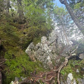 大山の山頂手前からは岩場。この岩の右に登ると、4連続の鎖が