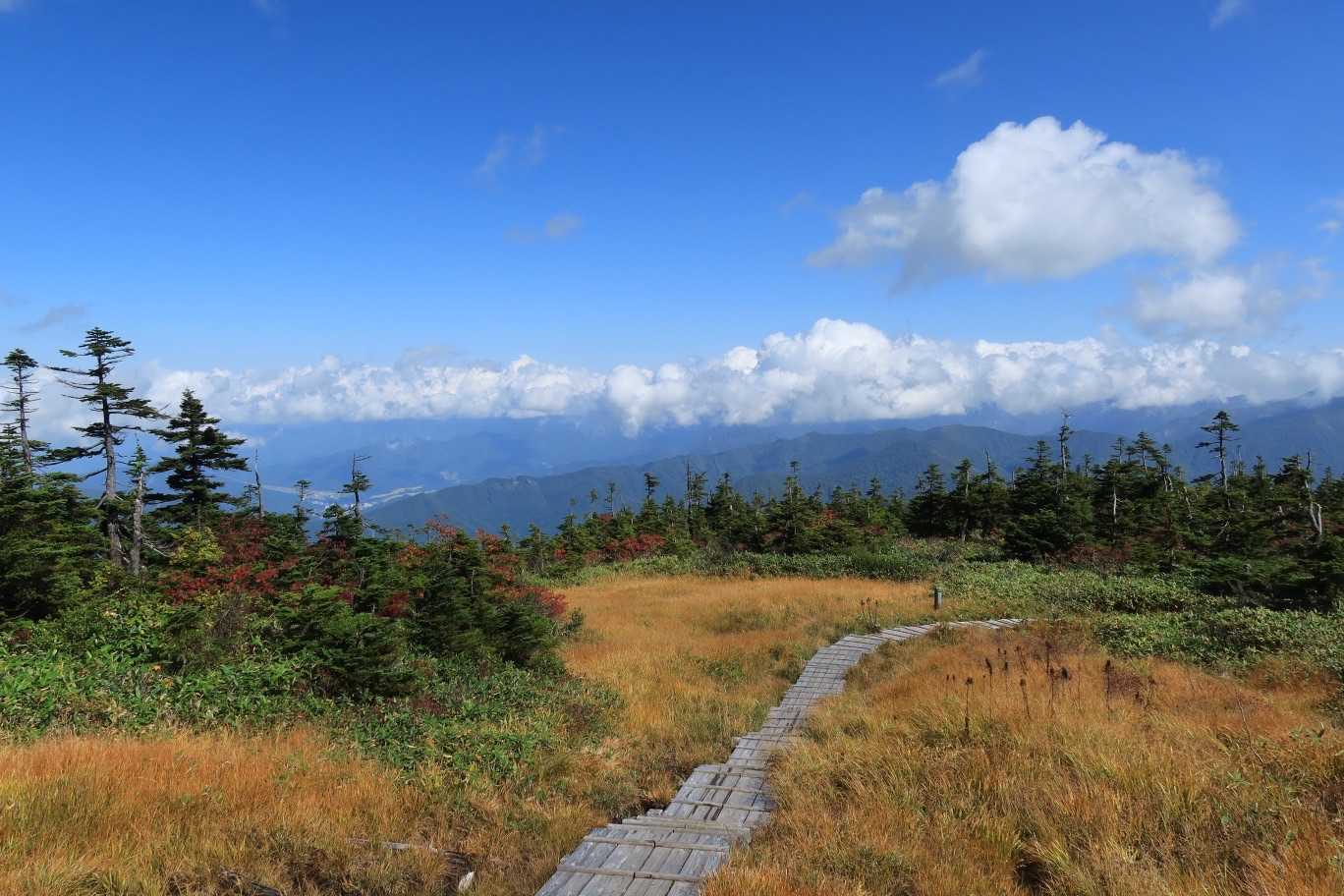山頂駅-神楽ヶ峰-苗場山-苗場山神社 縦走コースの写真