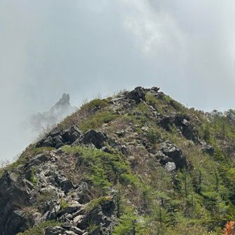 赤抜沢の頭〜高嶺は結構な岩岩しい路面が続きます。