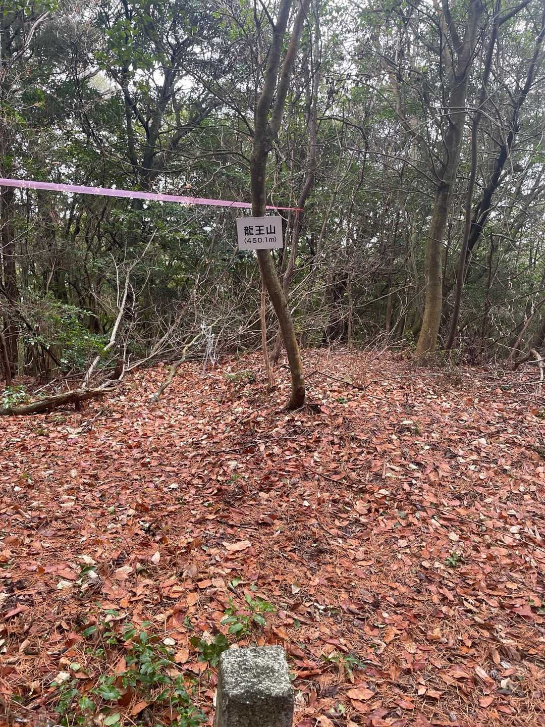 龍王山登頂🙌　眺望はなし