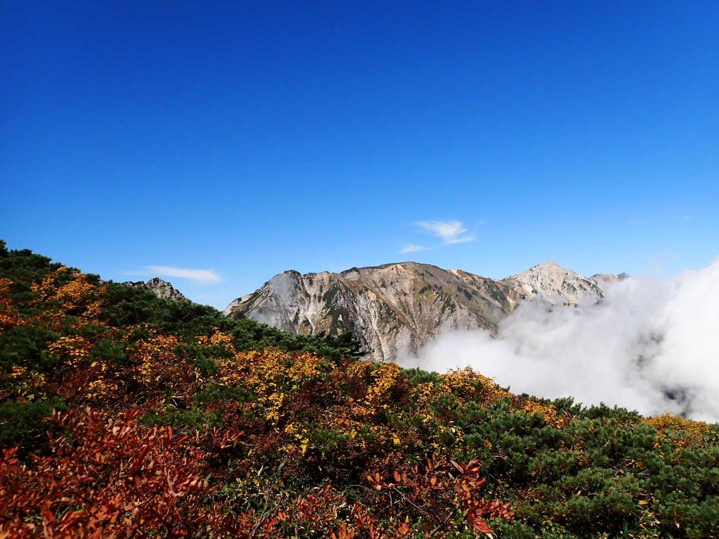 天狗の頭-不帰嶮-唐松岳-丸山ケルン-扇雪渓-八方池-八方 縦走コースの写真