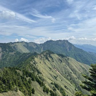 二ノ森から石鎚山への稜線
