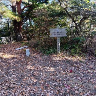 気になっていた四石山登頂。おっ、ここにも三角点が…ってあれ？