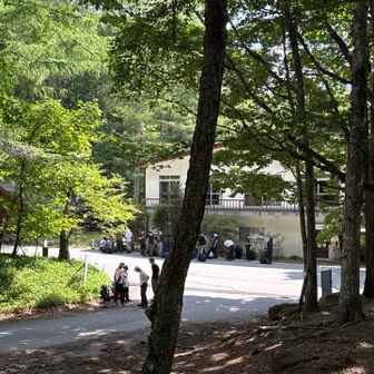 下山っ♬
路駐大量バス待ち大量🚌
駐車場🅿️は満車🈵

いやーホント人気だし、アクセスしやすいからかな👍
…いや早よトイレトイレ🚽💦💦